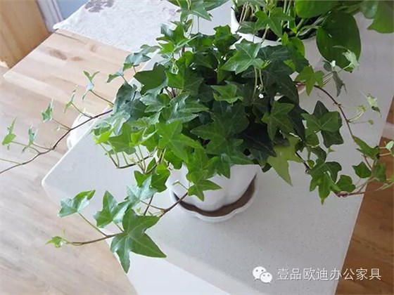 輕松解決辦公室內(nèi)各種污染！
