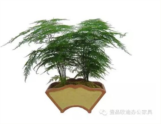 輕松解決辦公室內(nèi)各種污染！
