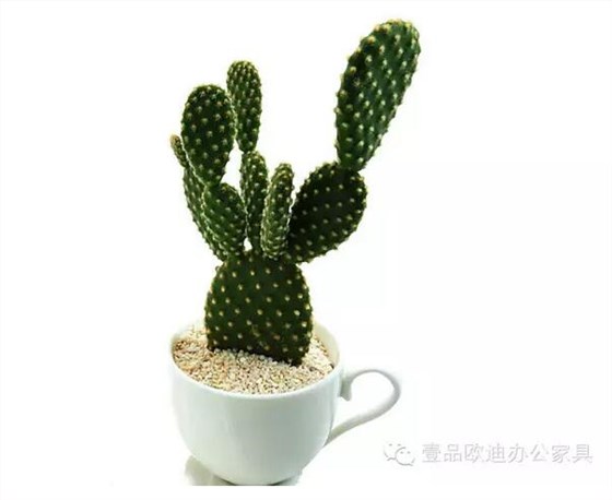 輕松解決辦公室內(nèi)各種污染！