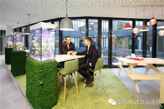 為什么辦公室里一定要養(yǎng)植物？-壹品歐迪辦公家具