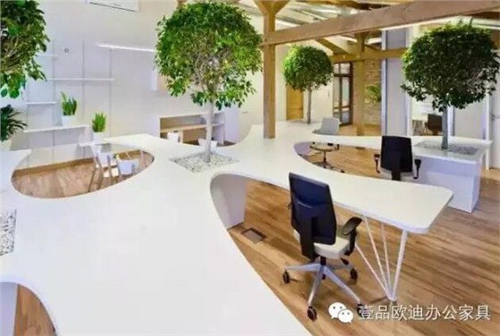 為什么辦公室里一定要養(yǎng)植物？-壹品歐迪辦公家具