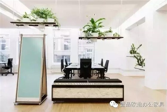 為什么辦公室里一定要養(yǎng)植物？-壹品歐迪辦公家具