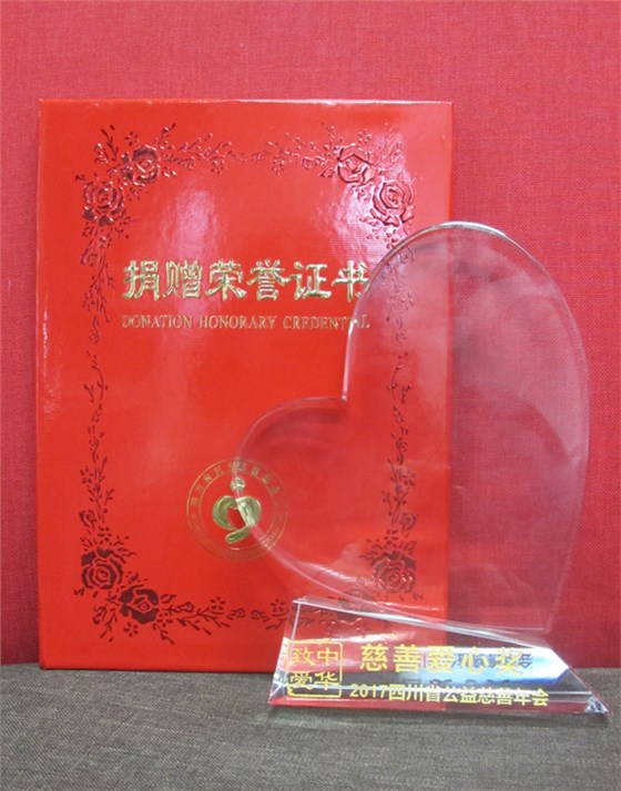 慈善愛心獎(jiǎng)杯