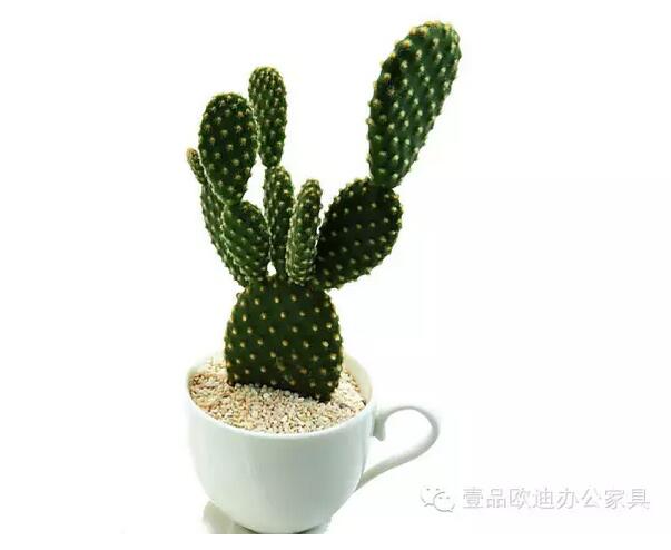 輕松解決辦公室內(nèi)各種污染！