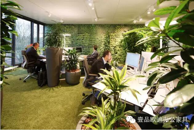 為什么辦公室里一定要養(yǎng)植物？-壹品歐迪辦公家具