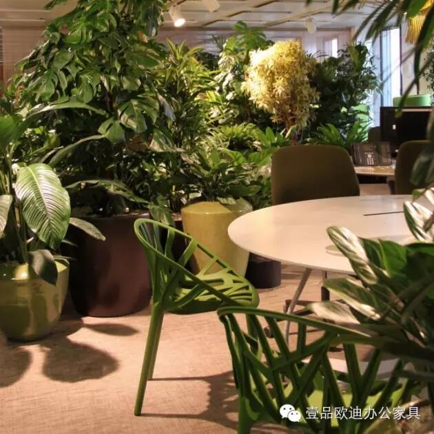 為什么辦公室里一定要養(yǎng)植物？-壹品歐迪辦公家具