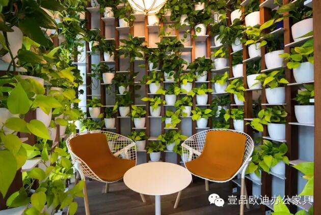 為什么辦公室里一定要養(yǎng)植物？-壹品歐迪辦公家具