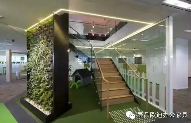 為什么辦公室里一定要養(yǎng)植物？-壹品歐迪辦公家具