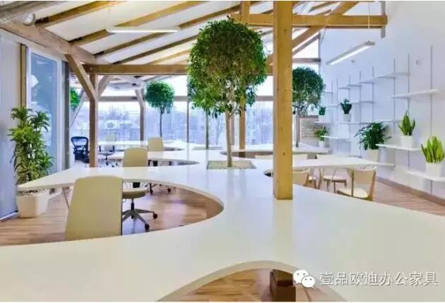 為什么辦公室里一定要養(yǎng)植物？-壹品歐迪辦公家具