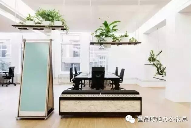 為什么辦公室里一定要養(yǎng)植物？-壹品歐迪辦公家具