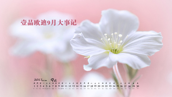 金秋九月，壹品歐迪又有新鮮事發(fā)生了